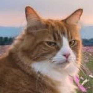 Profile photo of duongcamloan125gmail-com